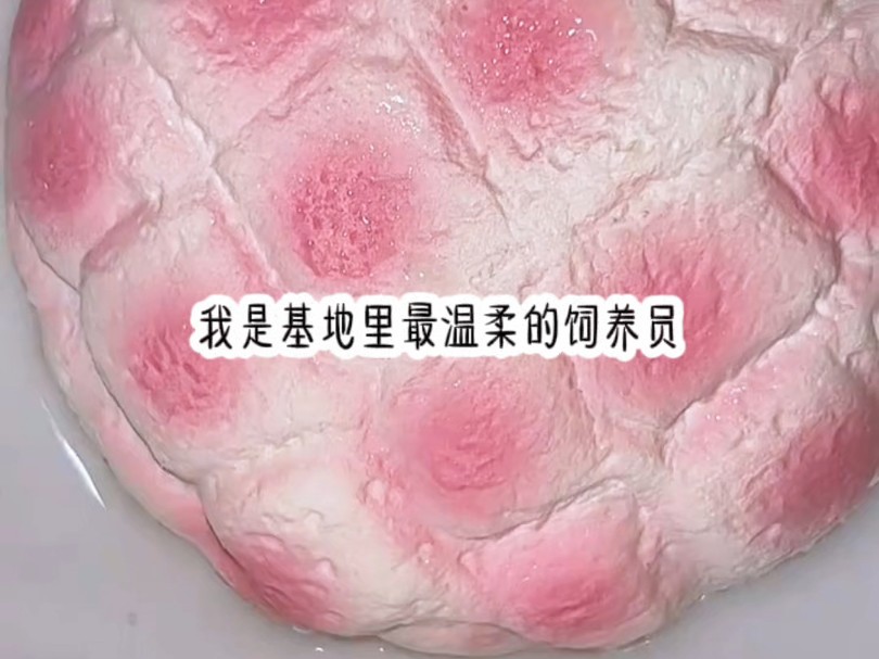 [图]【小九生情】我是基地最温柔的饲养员，我饲养的生物总是特别乖巧听话，可我看不到的是，背后那些生物们深爱眷恋的目光，直到一场意外