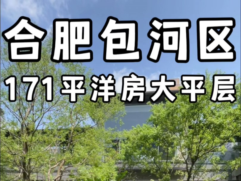 合肥包河区171平洋房大平层带社区会所#合肥大平层#一镜到底哔哩哔哩bilibili