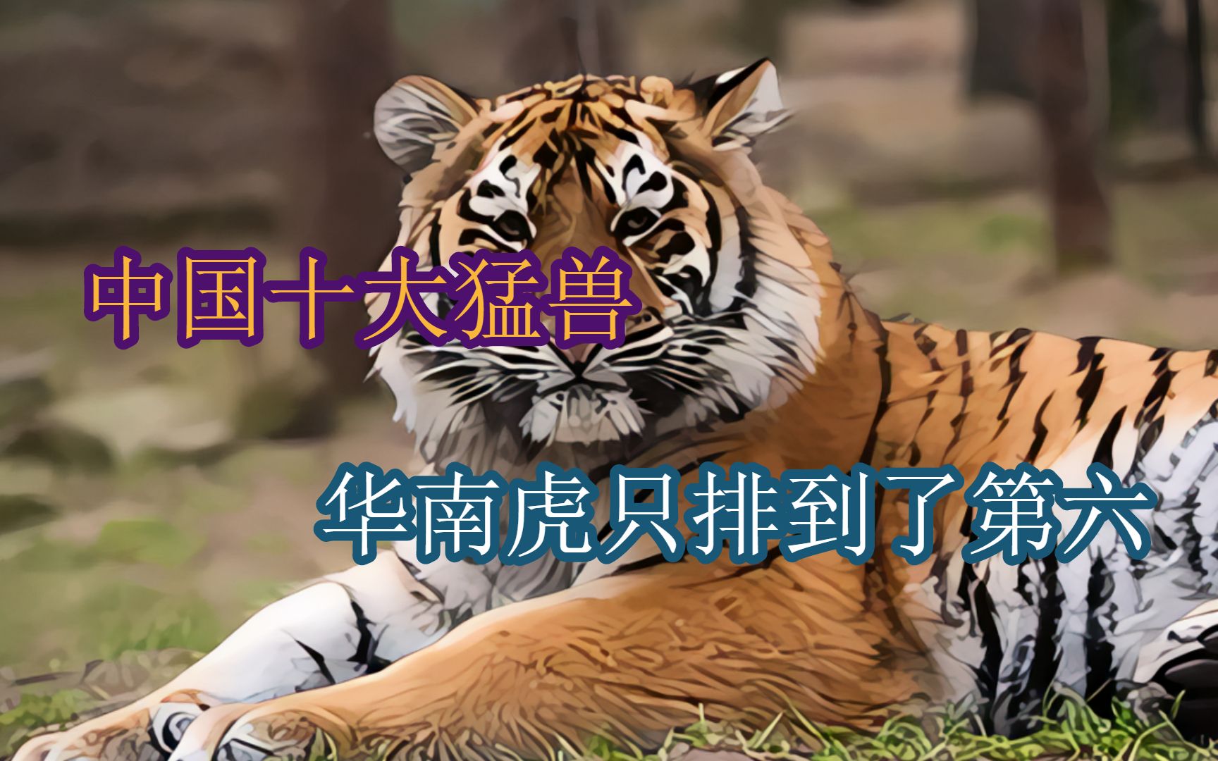 中国十大猛兽,华南虎只排到了第六