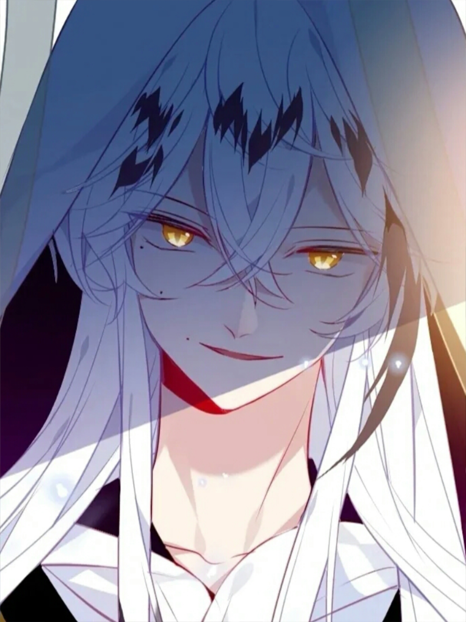 吾凰在上白虎神