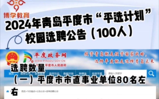 2024年青岛平度市“平选计划”校园选聘100人哔哩哔哩bilibili