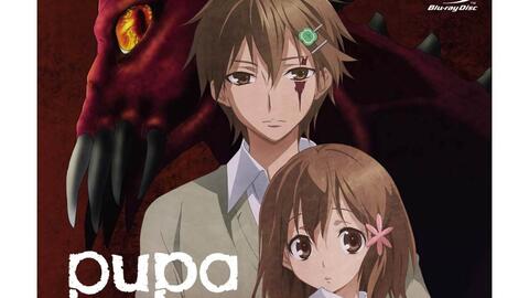 Pupa Ed专辑 3k 哔哩哔哩