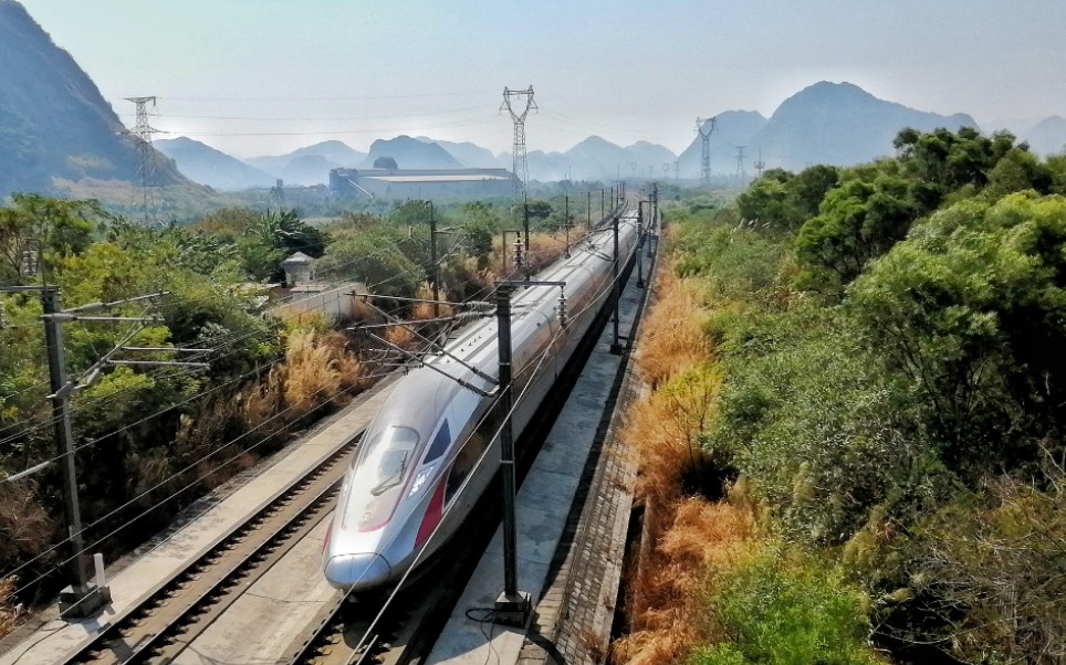 [中国高铁—武广客运专线]复兴号和谐号310KM/h高速通过!哔哩哔哩bilibili