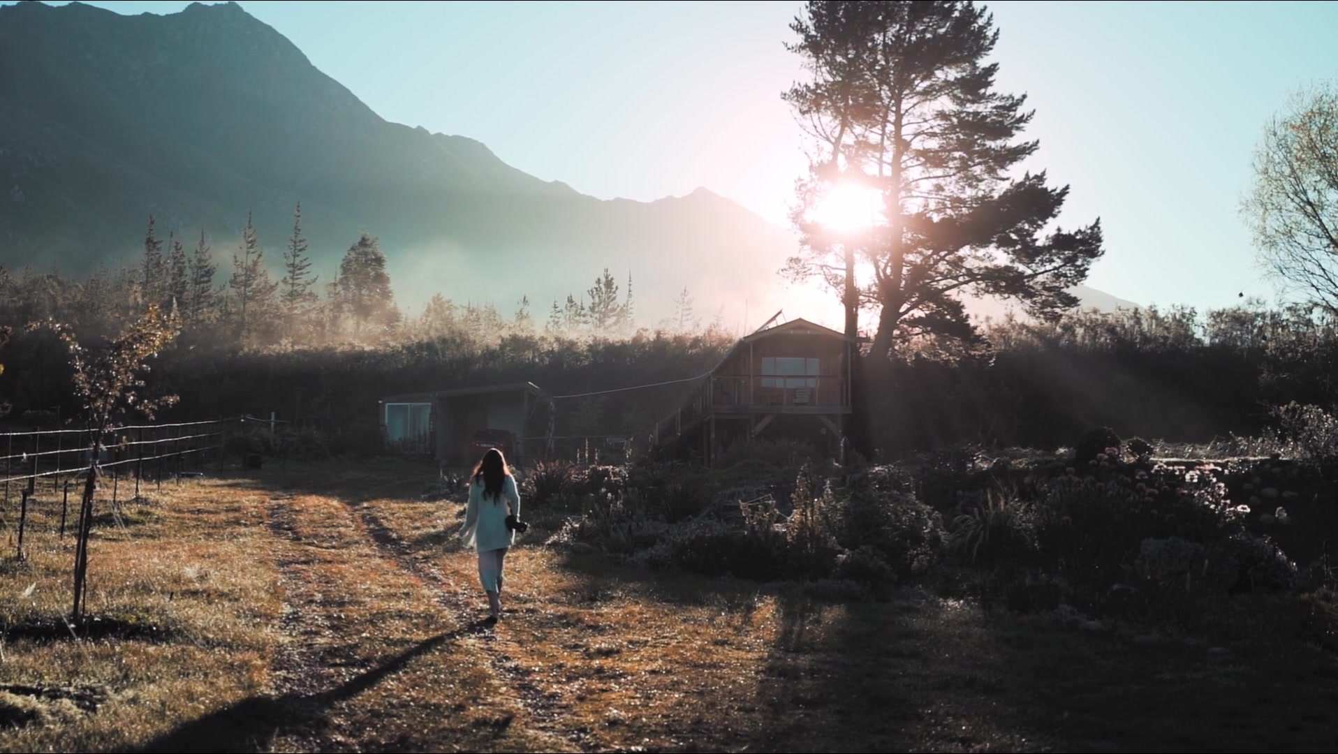 陷入迷失与焦虑 听听ai的建议 从自我反思 压力管理 目标规划 到找回