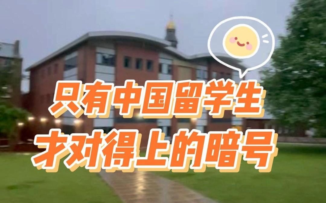 刻在中国人DNA上的暗号,我看哪个中国留学生不知道?哔哩哔哩bilibili