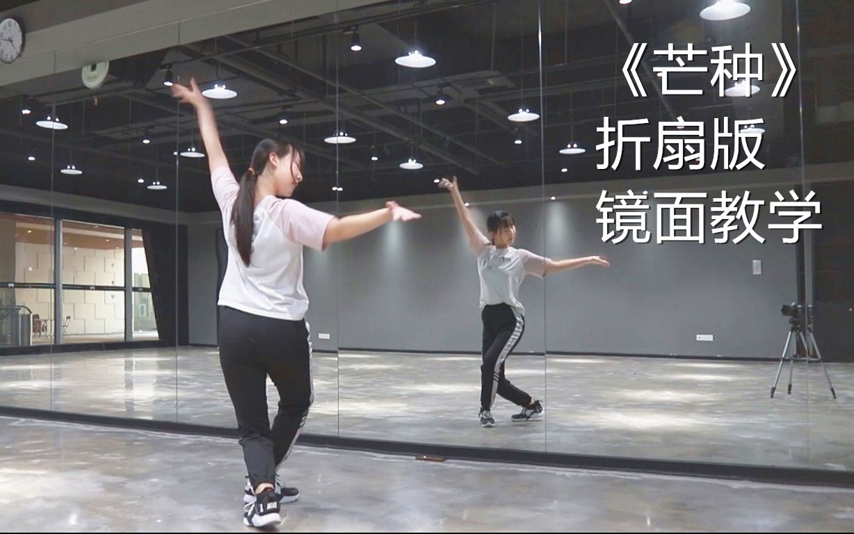 折扇版芒种舞蹈镜面教学m子编舞旺酱