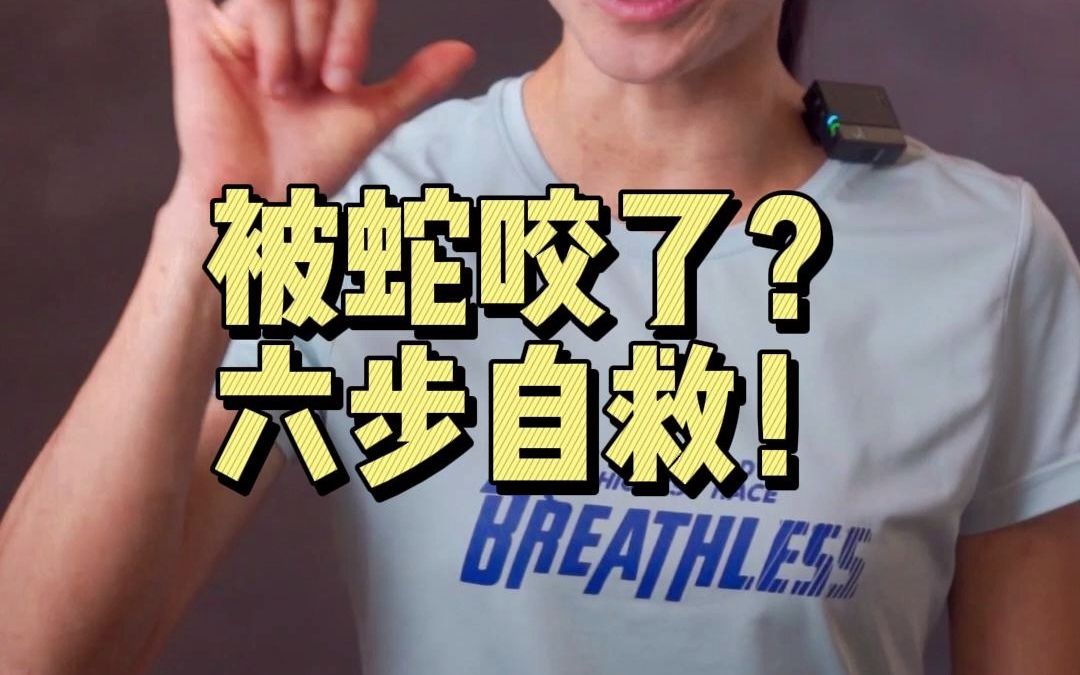 被蛇咬了怎么办?别慌!六步自救!哔哩哔哩bilibili