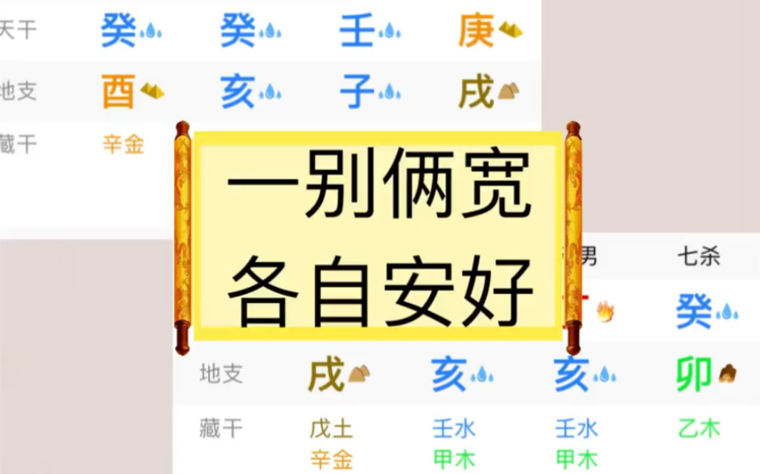 一别两宽,各生欢喜哔哩哔哩bilibili