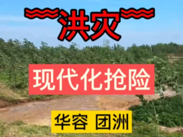 湖南岳阳华容团洲垸大堤决堤,决口没堵住,扩大到150米宽.哔哩哔哩bilibili