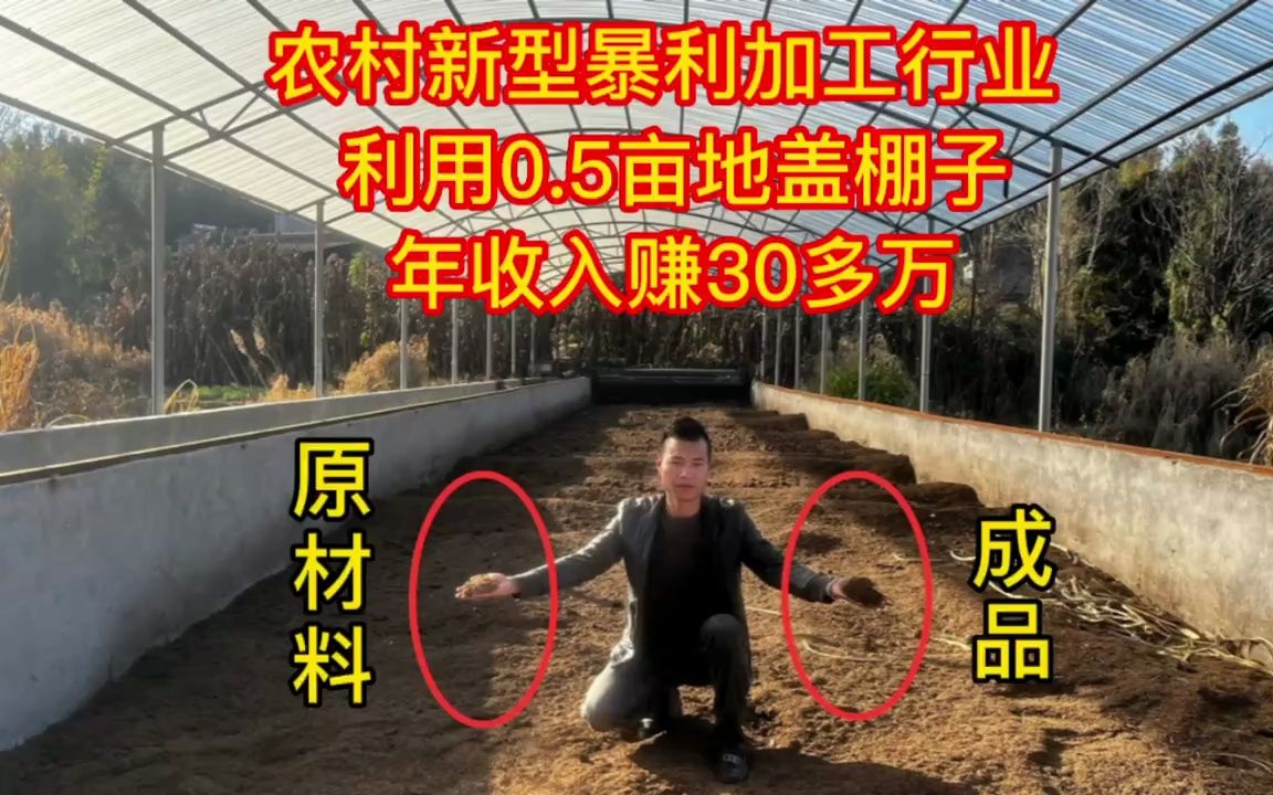 江西农村新型暴利加工行业,利用0.5亩地盖棚子,年收入赚30多万哔哩哔哩bilibili