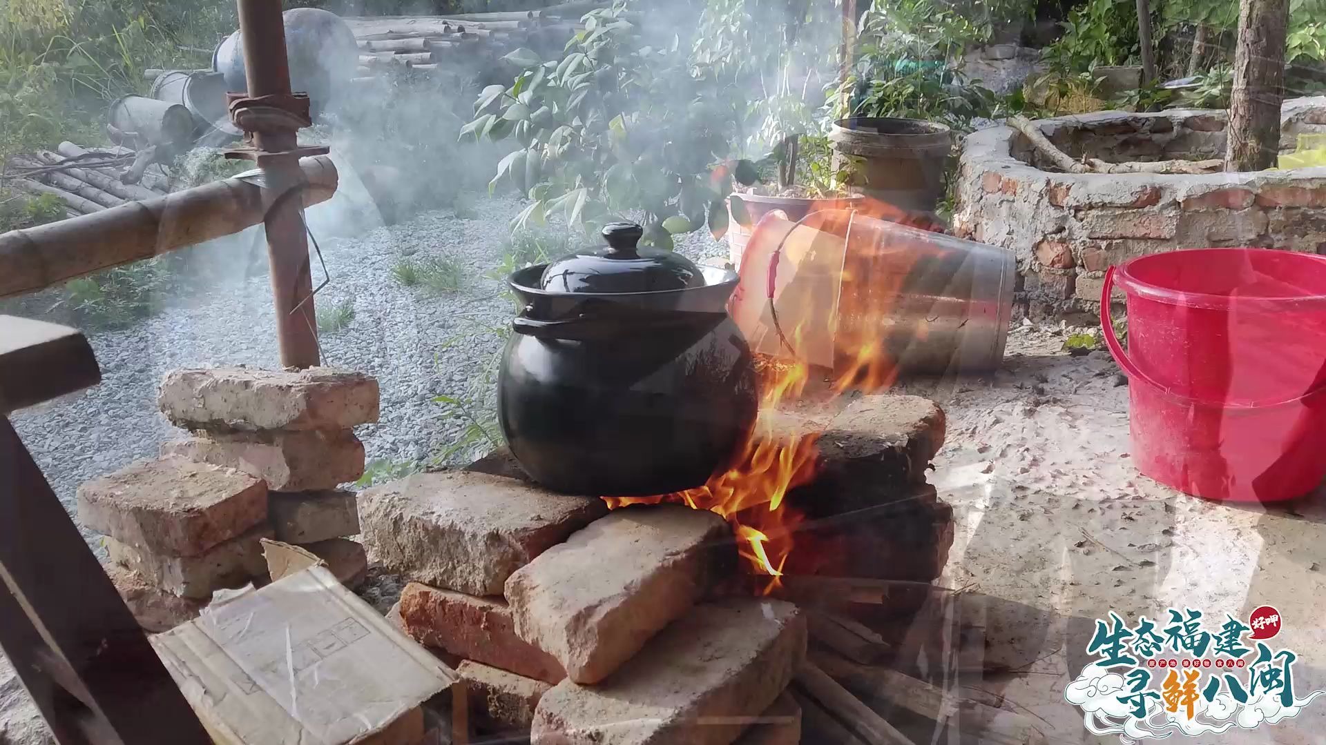 莆食当季,番鸭正肥 | 生态福建 寻鲜八闽带您品味藏于山野的鸭肥肉美哔哩哔哩bilibili