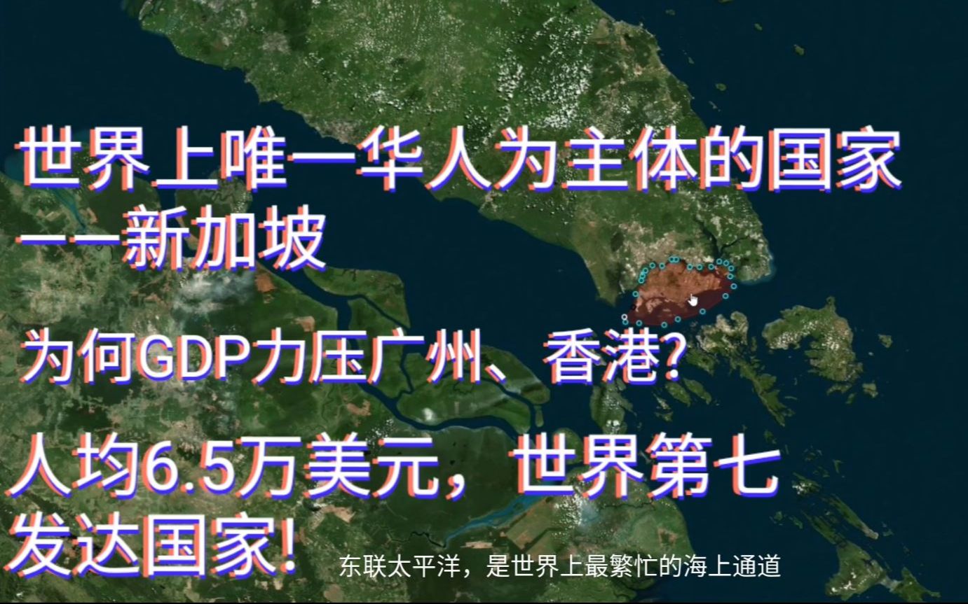 东南亚唯一发达国家新加坡有多强?华人74.4%,教育世界第一,超90%家庭有房,比美国还富,经济超广州香港哔哩哔哩bilibili