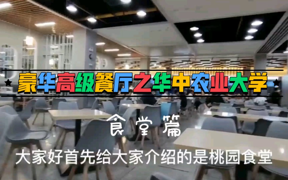 武汉高校超豪华食堂篇之华中农业大学哔哩哔哩bilibili