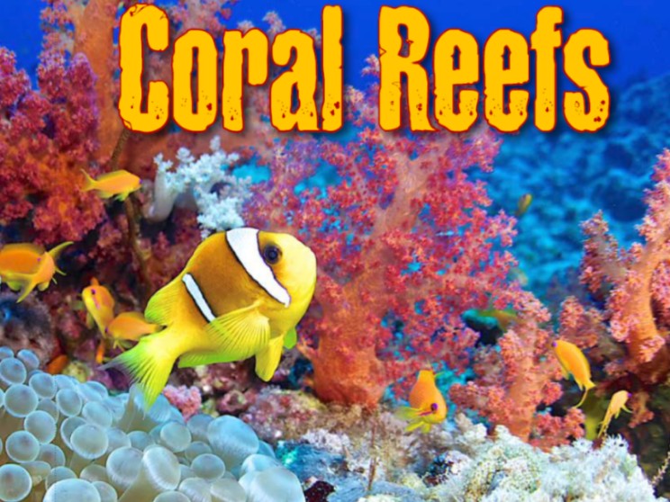 英语分级阅读 RAZ Q18 Coral Reefs哔哩哔哩bilibili