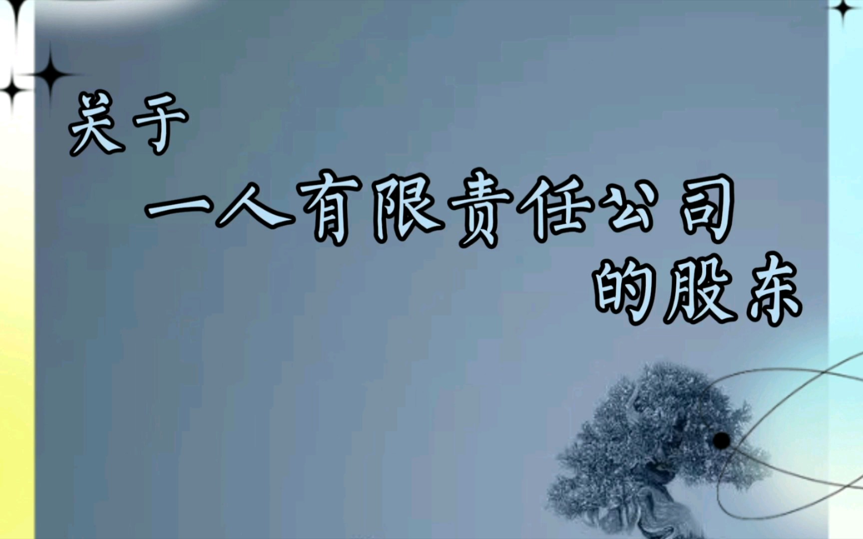 关于一人有限责任公司的股东,您了解多少呢?哔哩哔哩bilibili