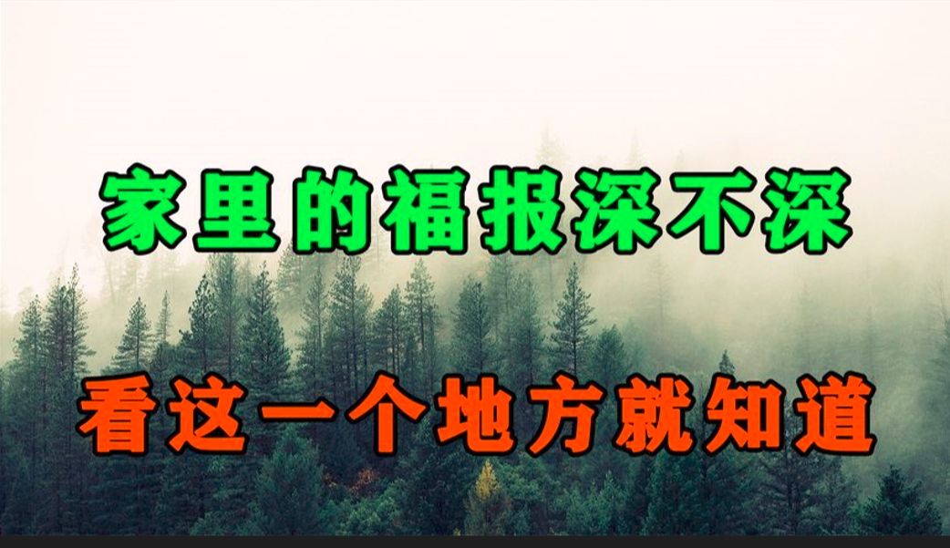 一个家庭的福报有多深,看这一个地方便知!比算命还厉害100倍哔哩哔哩bilibili