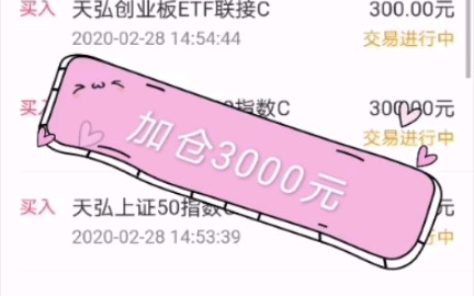 2020年2月28日支付宝基金记录哔哩哔哩bilibili