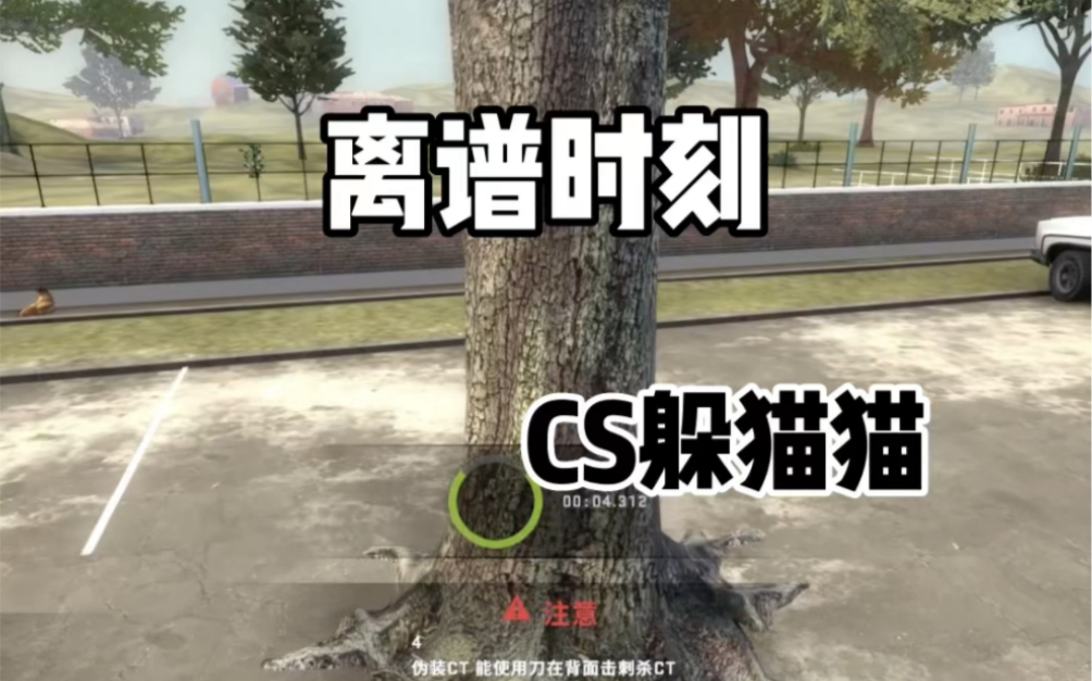 [图]CSGO躲猫猫：离谱时刻