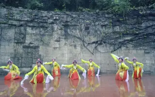 古典舞蹈梨花颂 搜索结果 哔哩哔哩 Bilibili