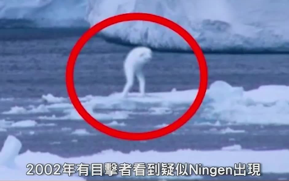 [图]听说过南极人造人 - NINGEN吗？