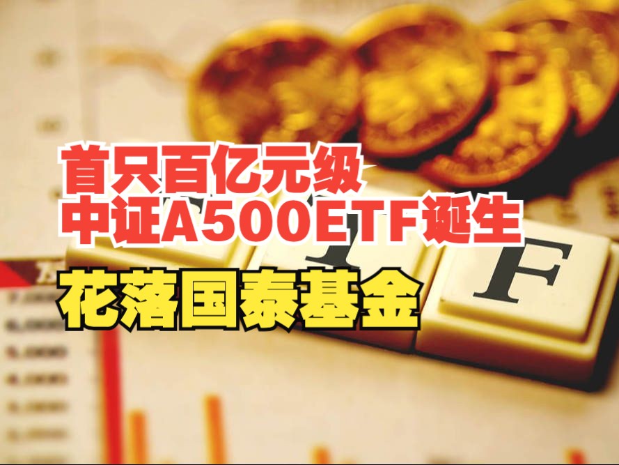 视频 | 首只百亿元级中证A500ETF诞生,花落国泰基金  21经济网哔哩哔哩bilibili