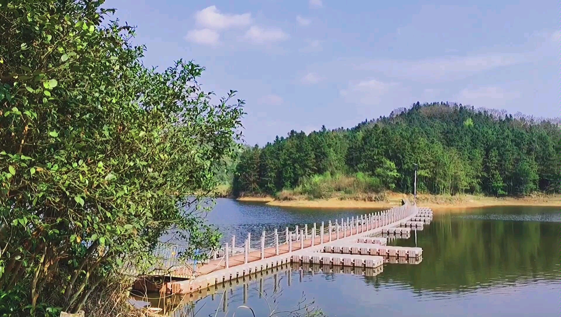 衡阳常宁市蓬塘乡油茶文化公园,山清水秀美丽景点,峰哥vlog旅行记