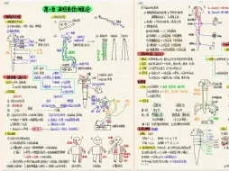 Video herunterladen: 24年执医笔试核心考点（神经精神系统50分）快速复习