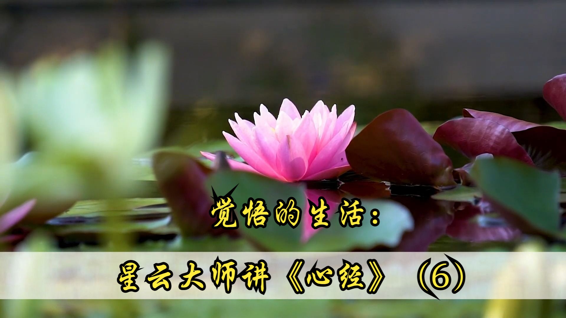 星云大师讲心经(6)