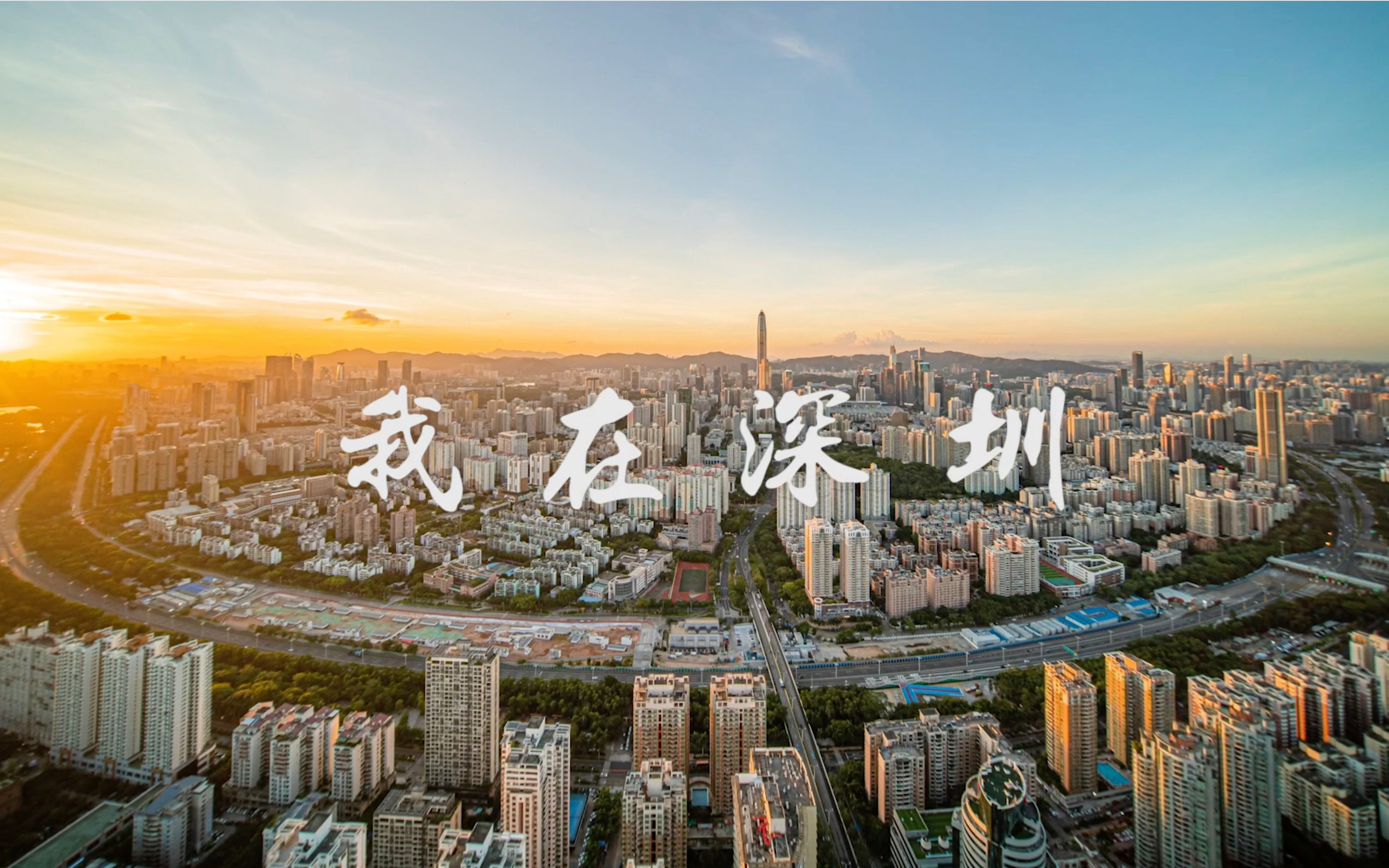 我在深圳 我爱深圳
