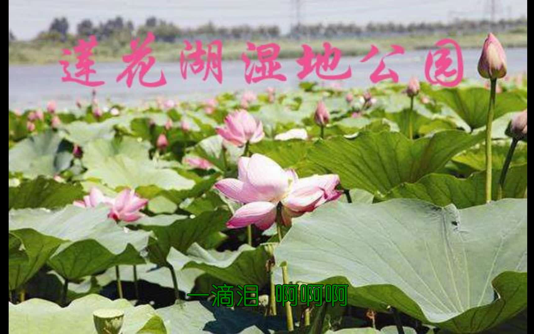 铁岭市内左手指月哔哩哔哩bilibili