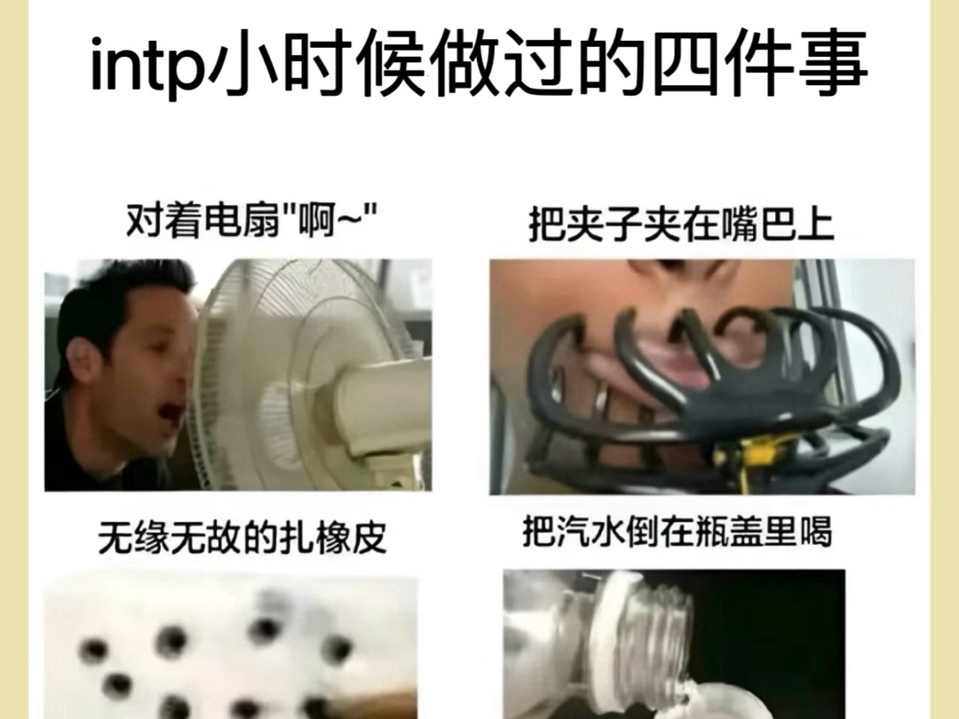 intp的极简人生哔哩哔哩bilibili