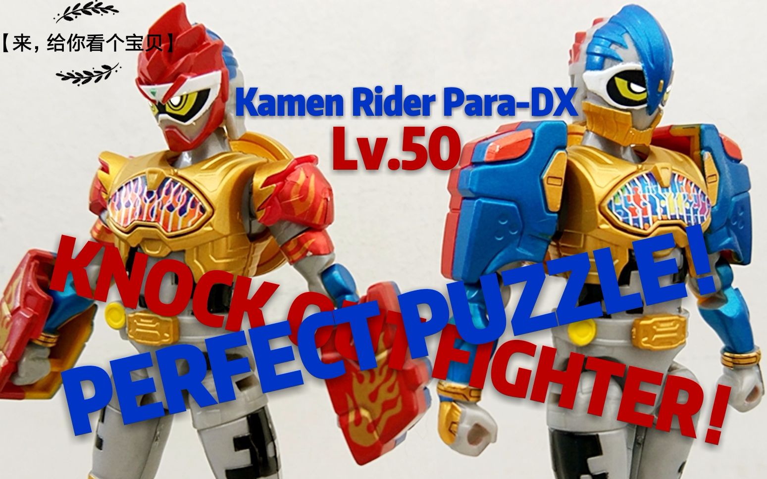 【来,给你看个宝贝】——装动系列·假面骑士para-dx lv.50