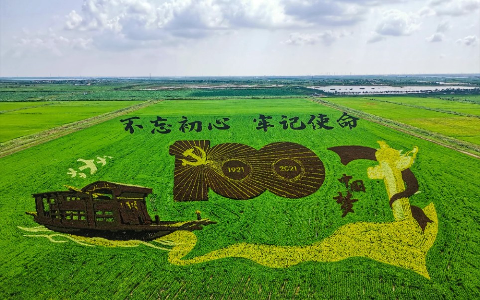 东营市永安稻田画,大美无言