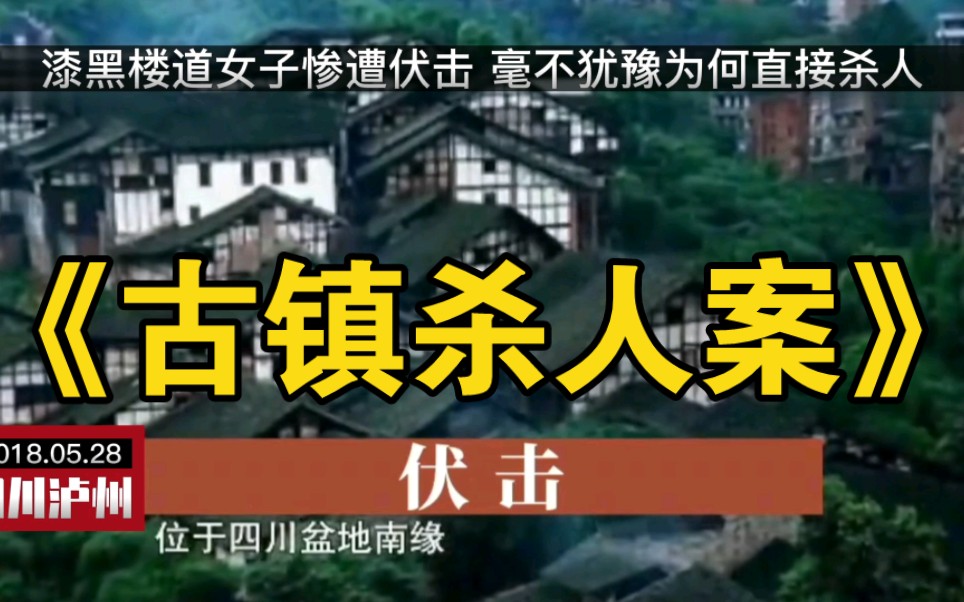 四川泸州市合江县《古镇凶杀案》(全集)哔哩哔哩bilibili