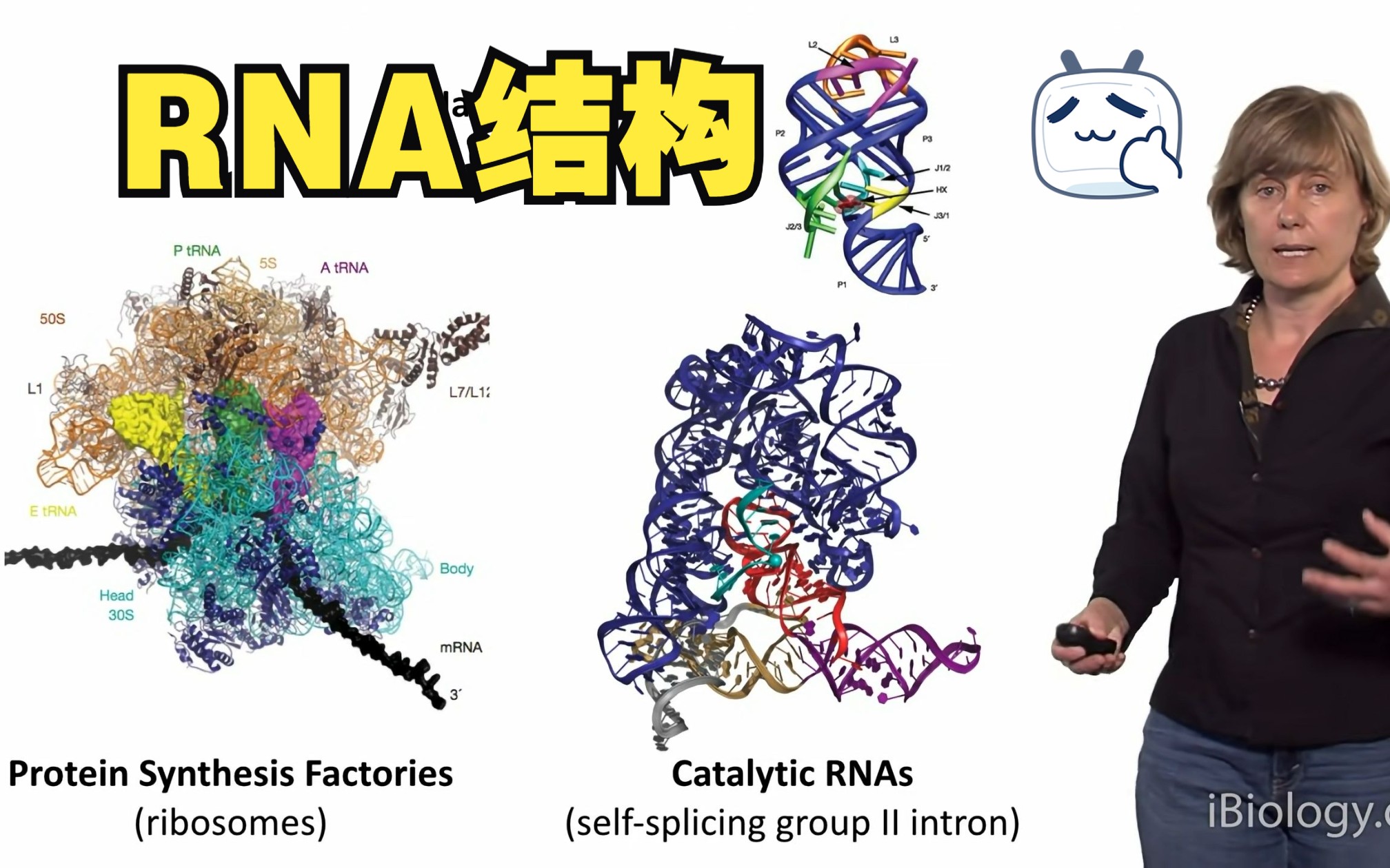 【iBiology讲座】RNA的结构、剪接和相互作用 by 耶鲁大学 Anna Marie Pyle 2014哔哩哔哩bilibili