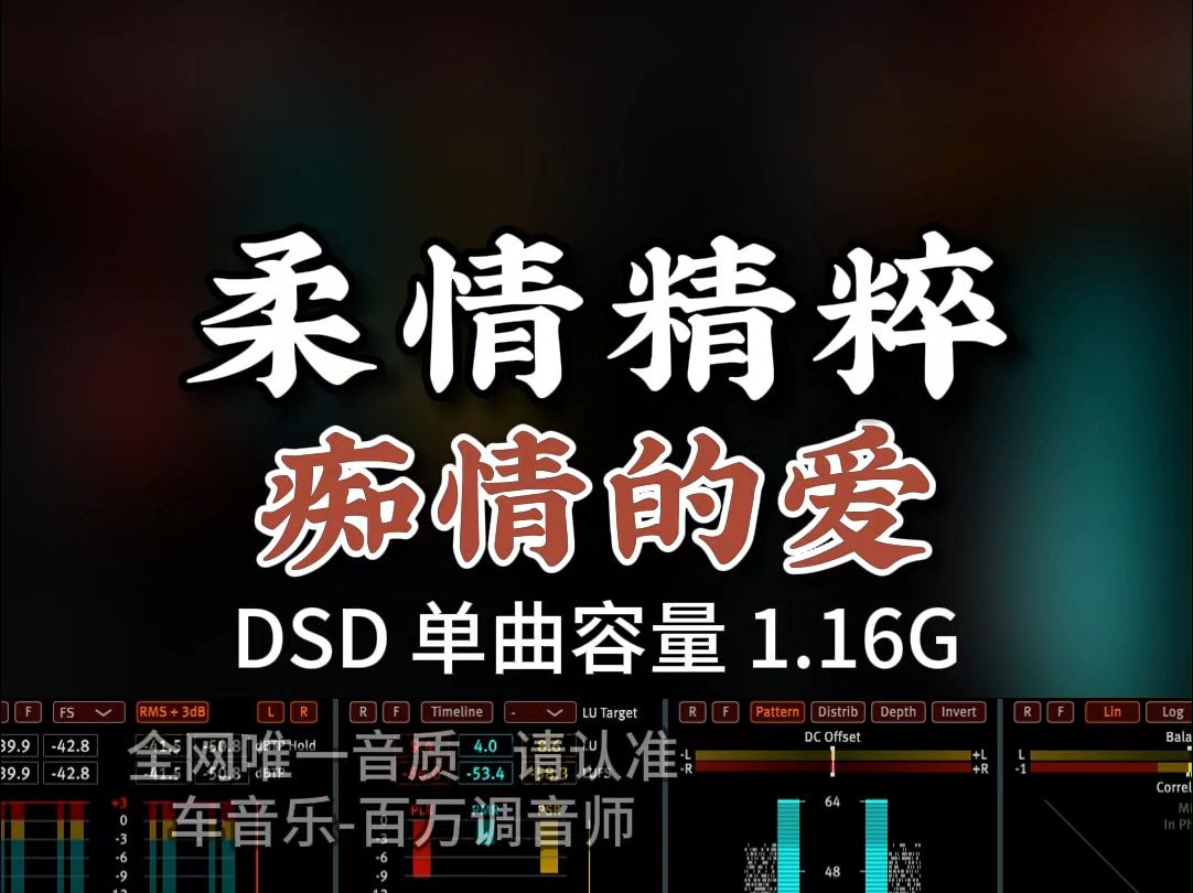 柔情精粹,韩宝仪《痴情的爱》DSD完整版1.16G,百万调音师专业录音棚制作,顶级hifi无损音质哔哩哔哩bilibili