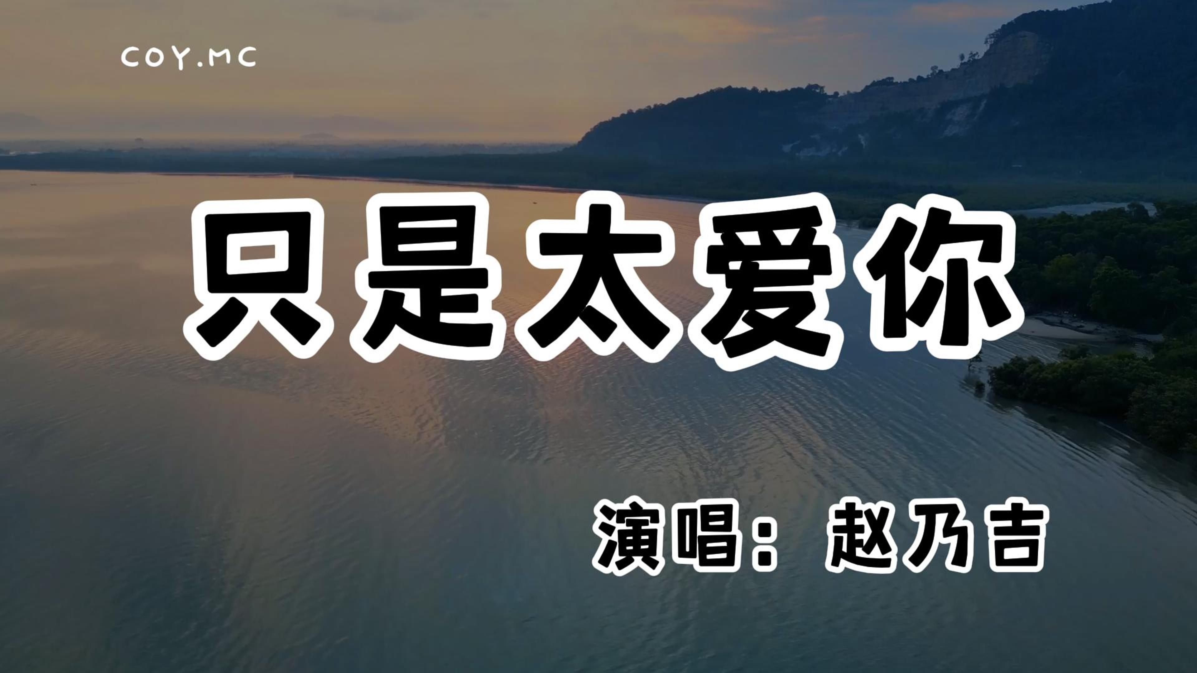 赵乃吉  只是太爱你『下一辈子还是否能遇见你 所以我今生才会那么努力』(动态歌词/Lyrics Video/无损音质/4k)哔哩哔哩bilibili