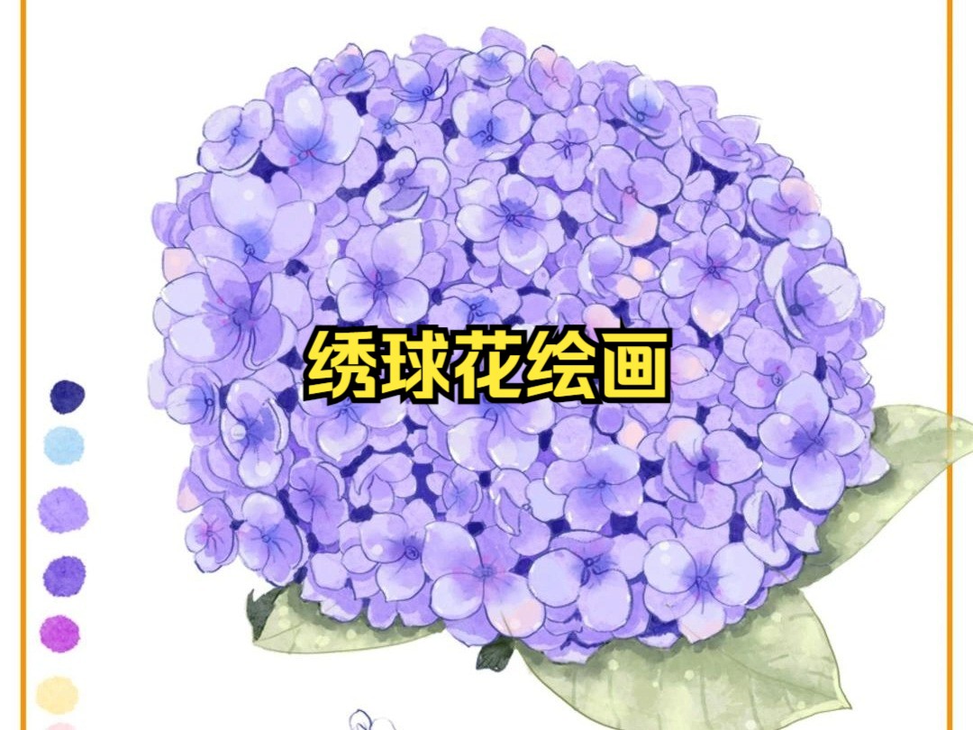 绣球花简笔画步骤图片