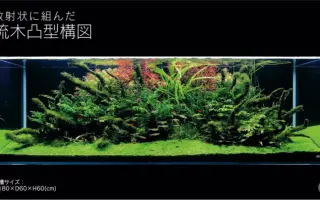 天野尚 搜索结果 哔哩哔哩 Bilibili