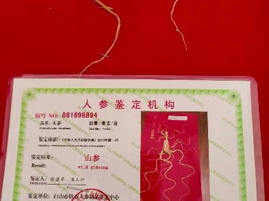 礼盒:非常大的一颗人参,东北特产,原始森林2018年百草之王人参一盒