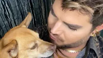 【Adam Lambert】20210601当爷Instagram直播完整版