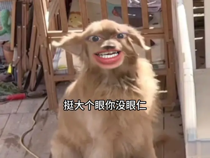 狗子：不要质疑我的专业