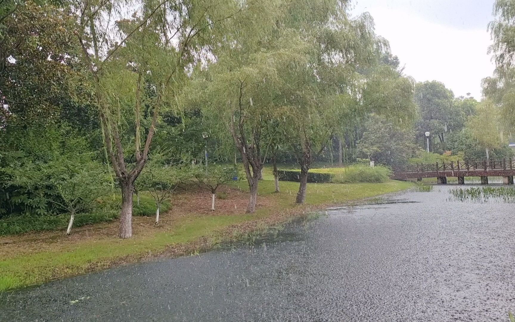 [图]20220717-避雨亭中