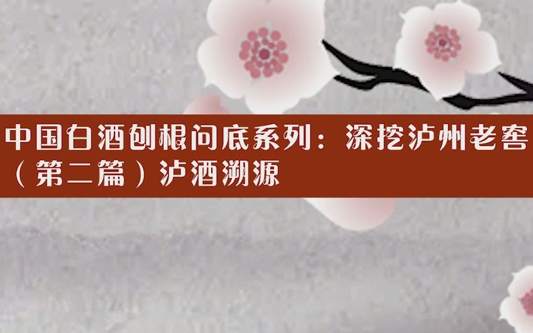 中国白酒刨根问底系列:深挖泸州老窖(第二篇)泸酒溯源哔哩哔哩bilibili