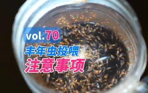 Download Video: 工厂化加州鲈水花育苗丰年虫投喂注意事项