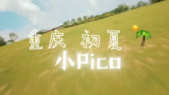 重庆、初夏、飞小Pico