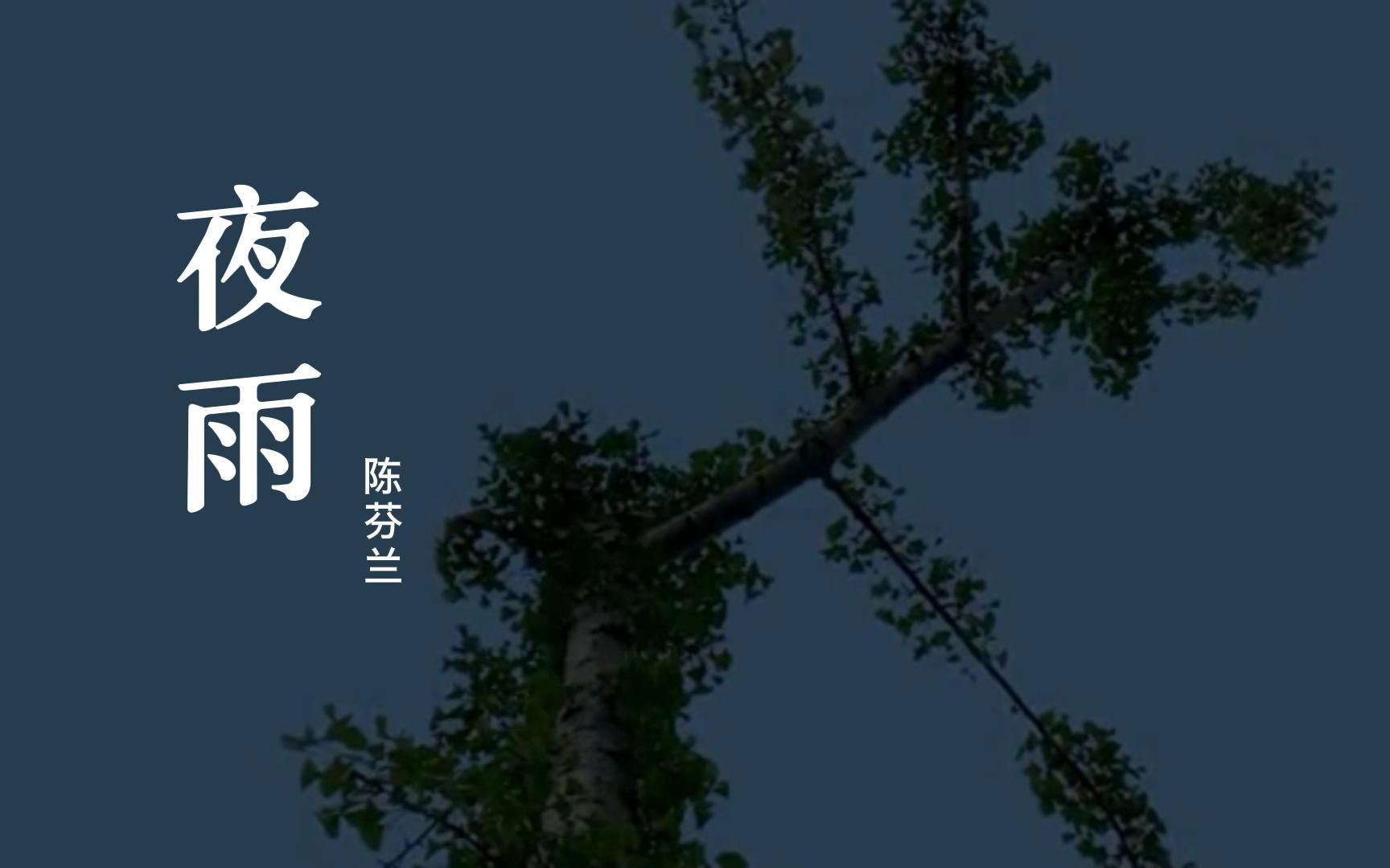 陈芬兰《夜雨》怀旧经典,独特音嗓,深情婉怡,句句都是满满回忆哔哩哔哩bilibili