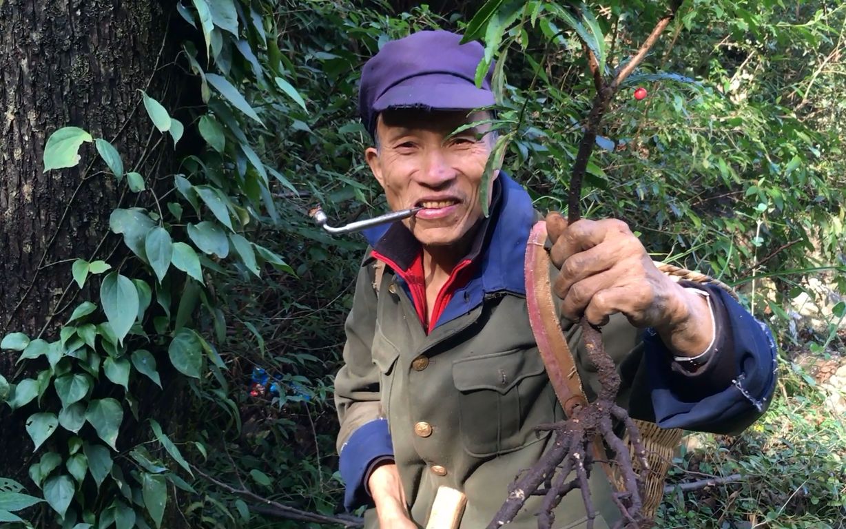 山区老人外出打工,工资才8毛,最后选择隐居深山采药哔哩哔哩bilibili