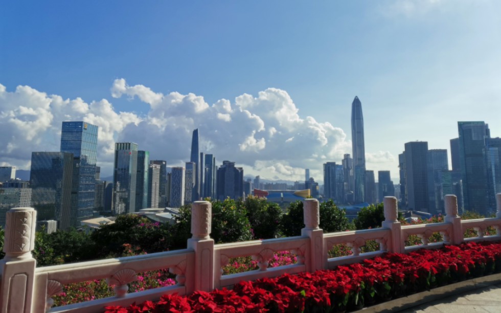 登深圳莲花山,活动活动筋骨