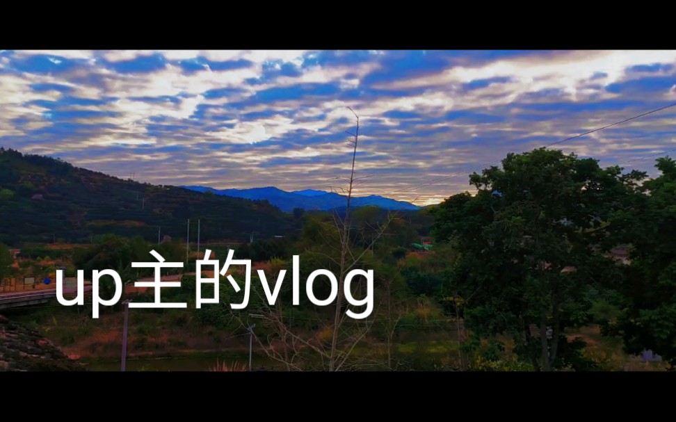 活动作品住在山里针不戳